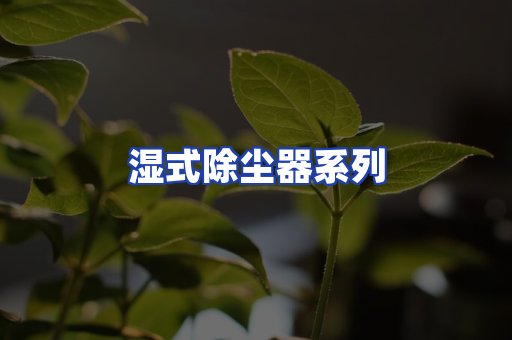 湿式除尘器系列